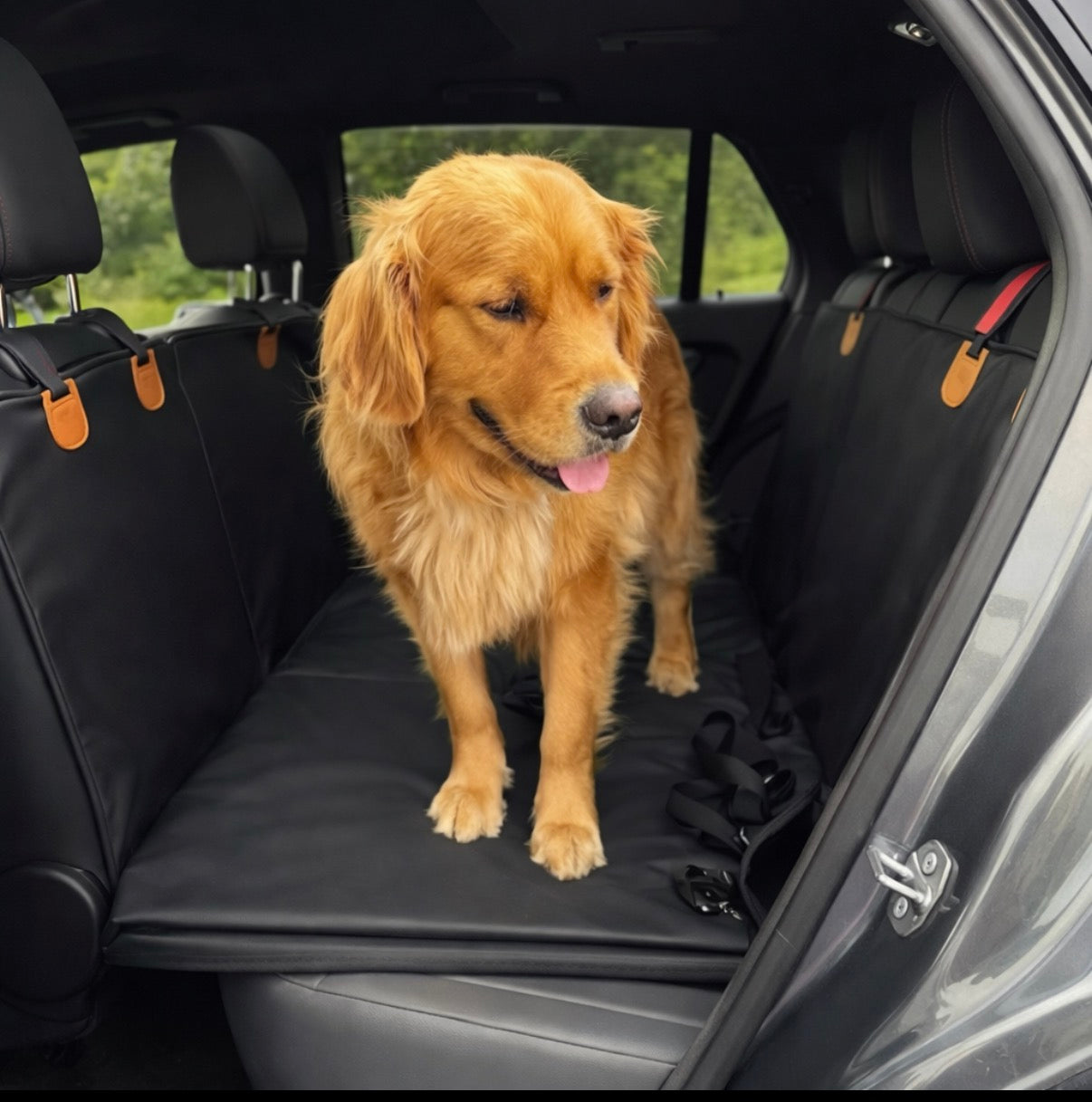 Paw-care™ Autositzschutz 