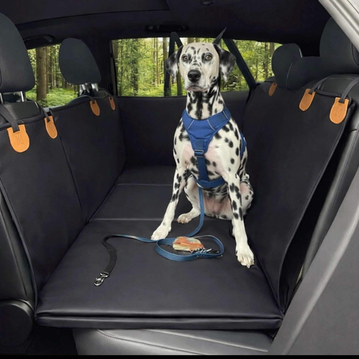 Paw-care™ Autositzschutz 