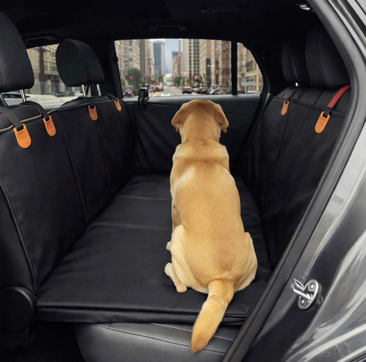 Paw-care™ Autositzschutz 