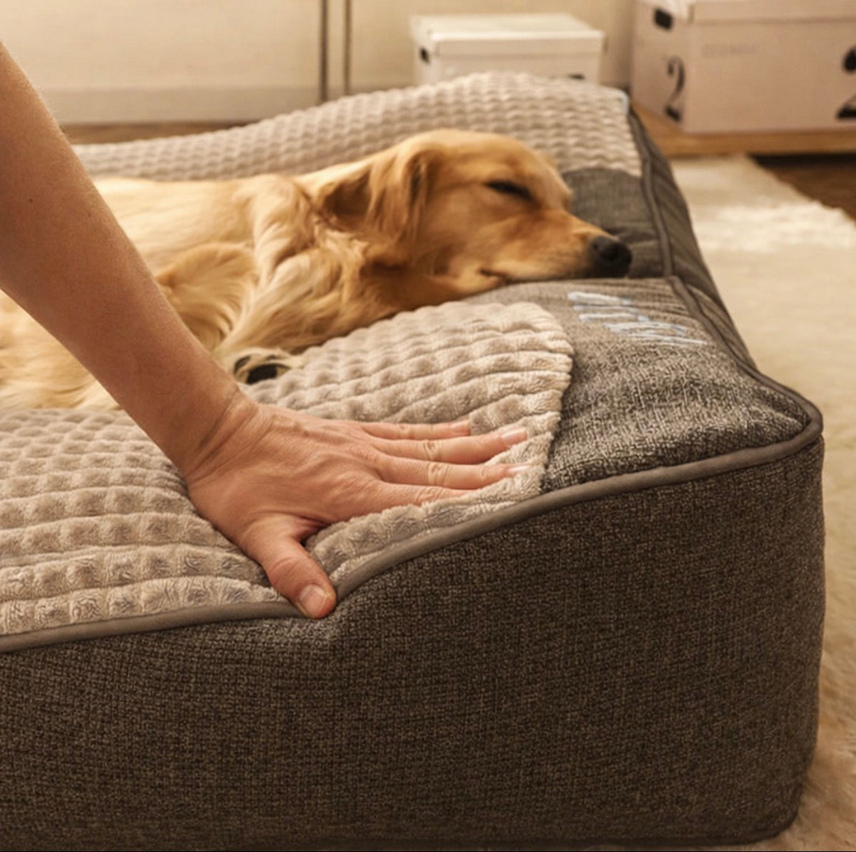 Paw-care™ Orthopädisches Hundekissen